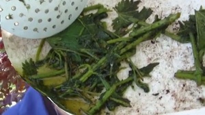 Comment faire du purin d'ortie ?