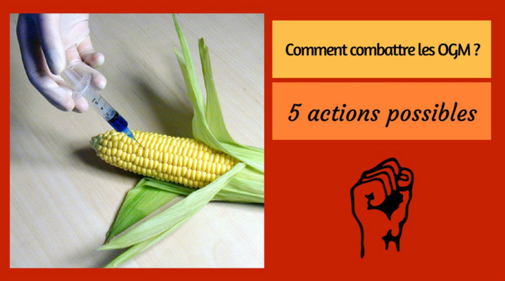 5 actions possibles pour combattre les OGM 5 actions possibles pour combattre les OGM