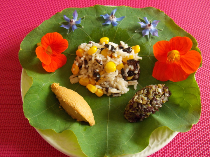 Etes-vous obsédé par l'alimentation saine ? Etes-vous obsédé par l'alimentation saine ?