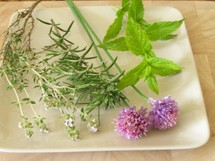 © 2010 - Isabelle Brunet