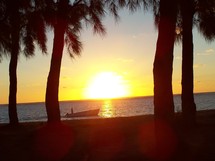 © Brunet Isabelle - Ile Maurice