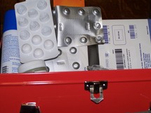 © 2010 - Brunet Isabelle