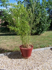 © 2010 - Brunet Isabelle