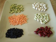 © 2010 - Brunet Isabelle