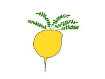 © 2010 - Brunet Isabelle