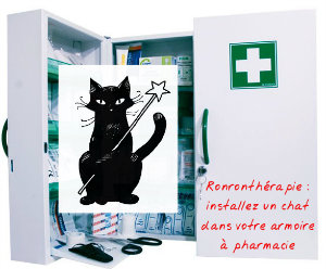 Installez un chat dans votre armoire à pharmacie