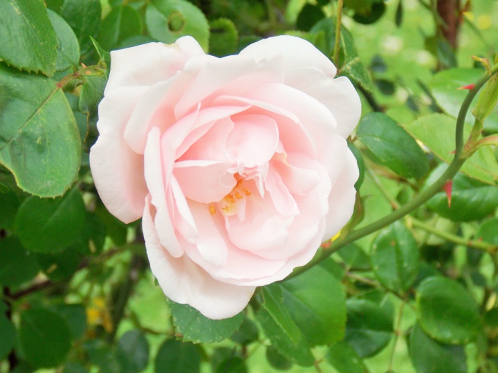 Solidarité envers les victimes Solidarité envers les victimes