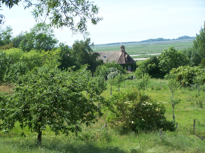 Comment vous reconnecter à la Nature ? Comment vous reconnecter à la Nature ?