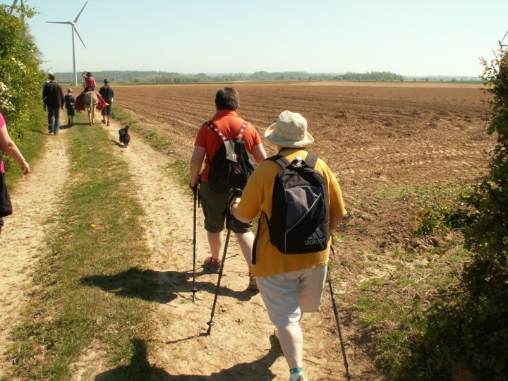 Comment vous reconnecter à la Nature ? Comment vous reconnecter à la Nature ?