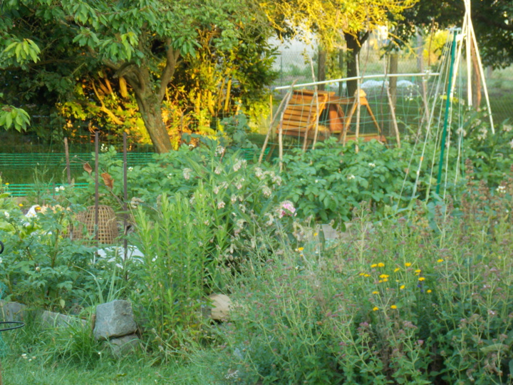 Comment vous reconnecter à la Nature ? Comment vous reconnecter à la Nature ?