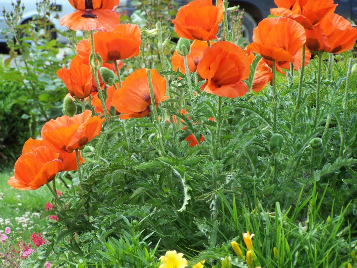 Comment vous reconnecter à la Nature ? Comment vous reconnecter à la Nature ?