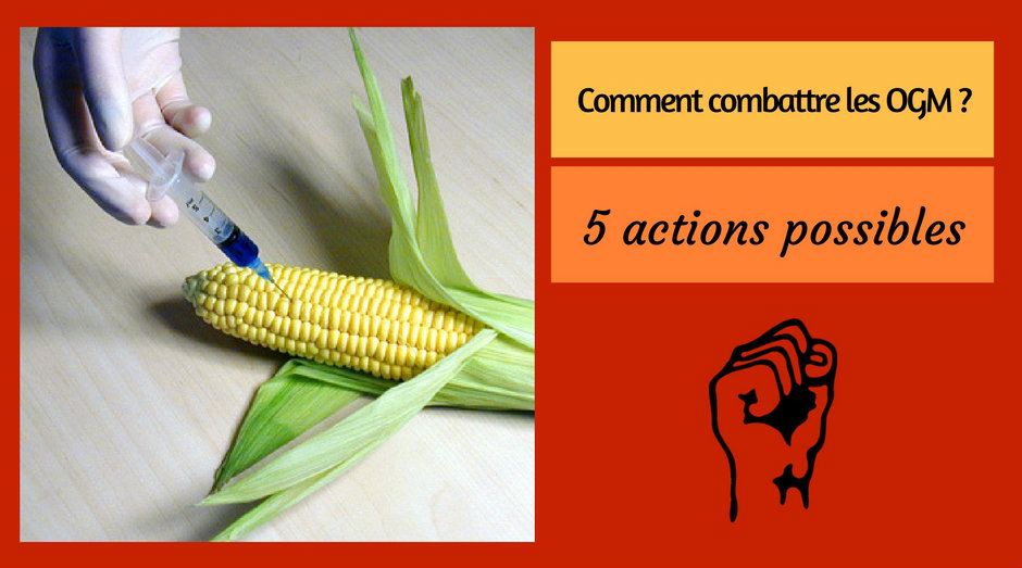 5 actions possibles pour combattre les OGM