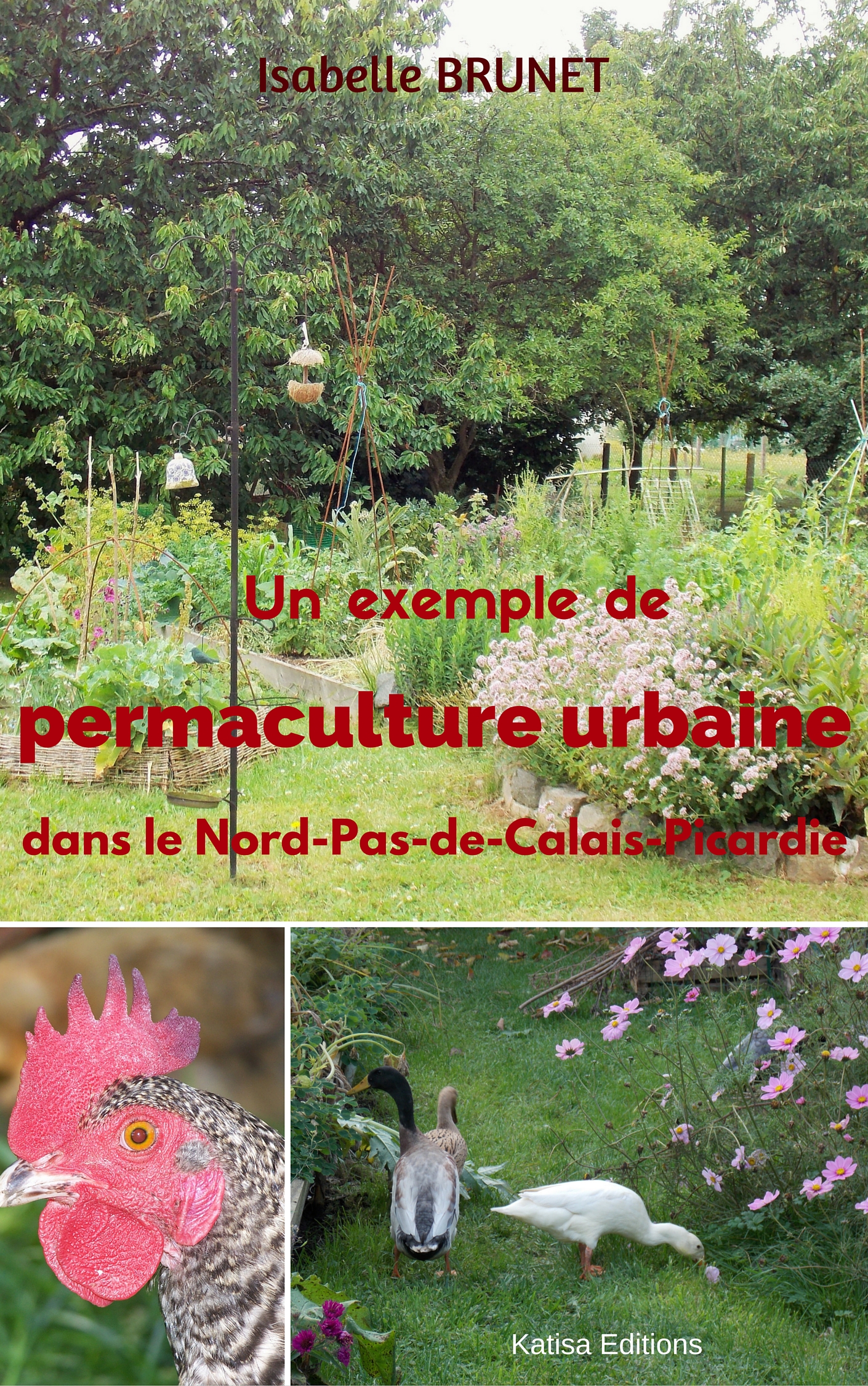 Sortie de "Un exemple de permaculture urbaine dans le Nord-Pas-de-Calais-Picardie"
