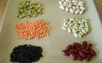 Mangez des légumineuses !