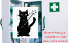 La ronronthérapie : installez un chat dans votre armoire à pharmacie 