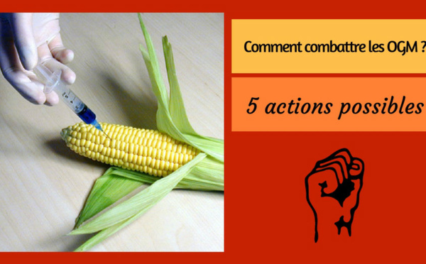 Comment combattre les OGM ? – 5 actions possibles