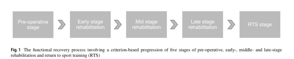 Optimisation de la phase intermédiaire de réadaptation et des tests après la reconstruction du LCA
