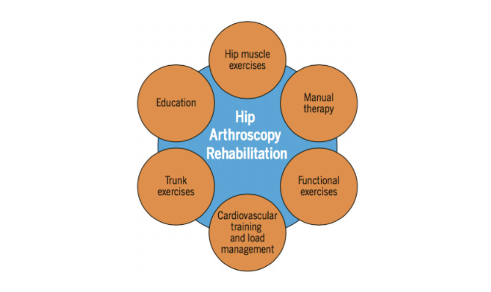 Pathologies intra-articulaires de la hanche.