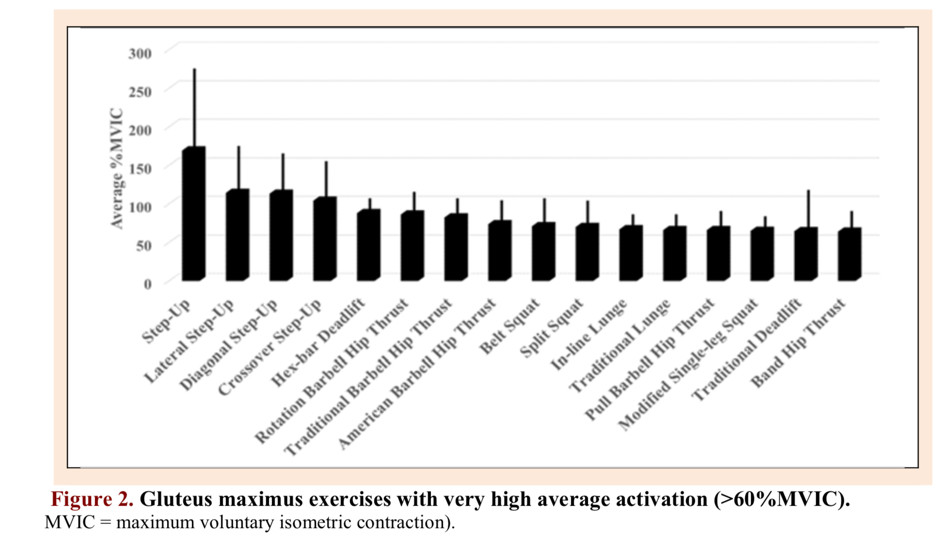 Activation du muscle Gluteus Maximus lors d’exercices de force et d'hypertrophie: une systematic review