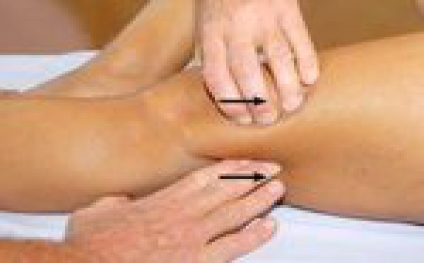 Massage and bodywork : le genou