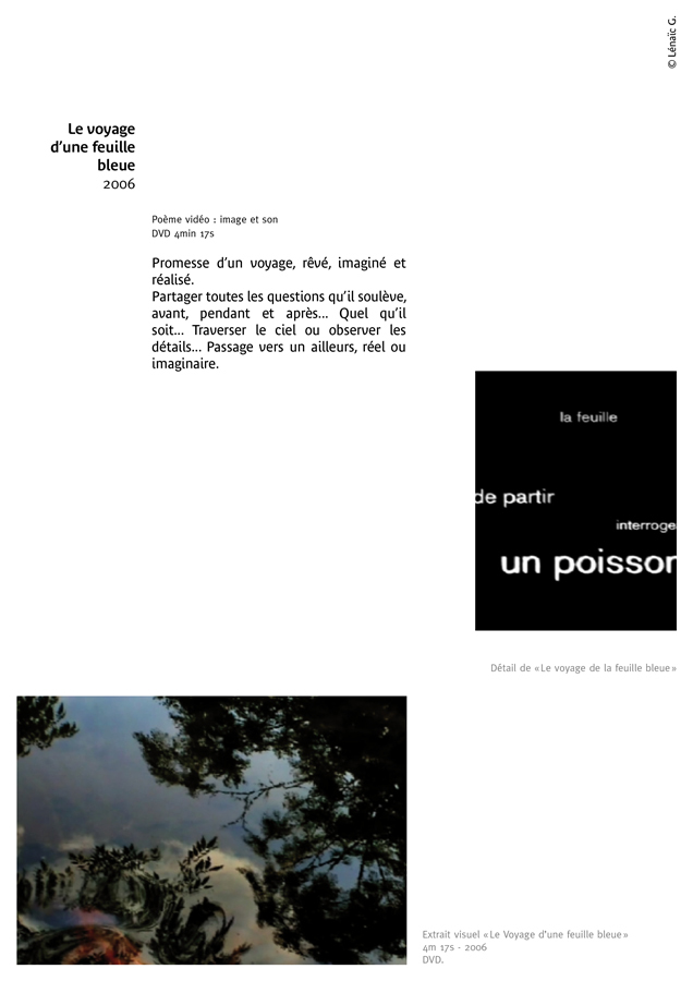 Le voyage d'une feuille bleue