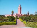 Marrakech : un investissement prometteur