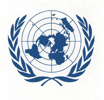 L'ONU dérogerait-elle à ses principes fondamentaux?