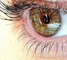 Santé des yeux : soins essentiels pour une bonne vue