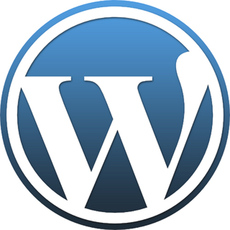 CMS Wordpress : l'intérêt de créer un site internet sous Wordpress