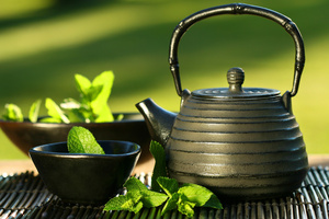 Le thé vert et les polyphénols