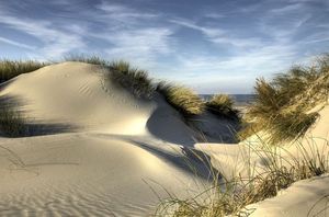 dune de sable, plage de l'ile d'Oleron