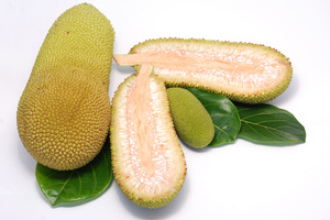 le jackfruit, fruit de Malaisie