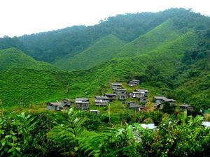 La Malaisie : village Ourang Asli