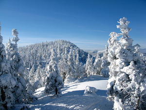Monts Chic-Chocs en hiver