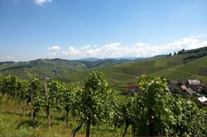 Tourisme et randonnées viticoles en Europe