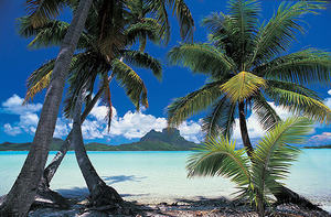 La Polynésie française : la destination de demain