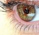 Santé des yeux : soins essentiels pour une bonne vue