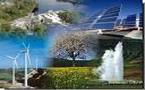 Environnement : les énergies renouvelables sous exploitées