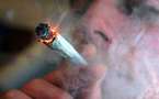 Fumer du cannabis augmenterait de 70% le risque de cancer des testicules