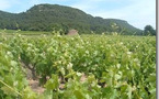Le domaine de la Noria : un paradis sur terre pour les amateurs de tourisme viticole