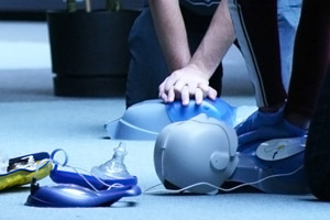 Our Human Ressources