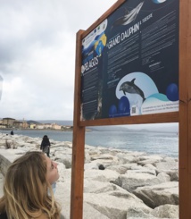 Ajaccio au coeur de Pelagos Ajaccio au coeur de Pelagos