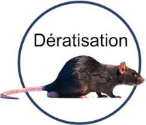 Campagnes de dératisation Campagnes de dératisation