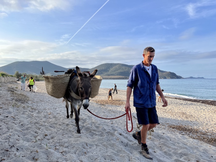 Sébastien Ziller possède deux ânes, Ziggy et Sidonie. Sébastien Ziller possède deux ânes, Ziggy et Sidonie.