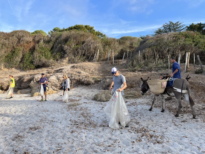 Les participants de l'opération ont été répartis entre la grande plage de Capo et ses criques environnantes. Les participants de l'opération ont été répartis entre la grande plage de Capo et ses criques environnantes.