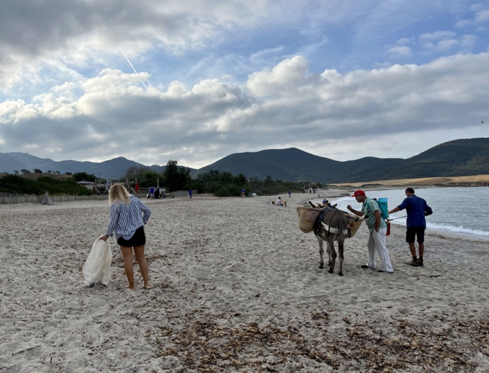 L'âne peut transporter plus de 50 kilo de déchets. L'herbes de posidonie est également préservée. L'âne peut transporter plus de 50 kilo de déchets. L'herbes de posidonie est également préservée.