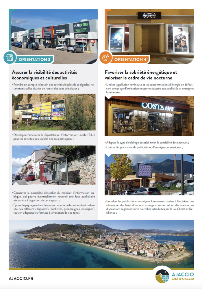 Révision du règlement local de publicité (RLP)