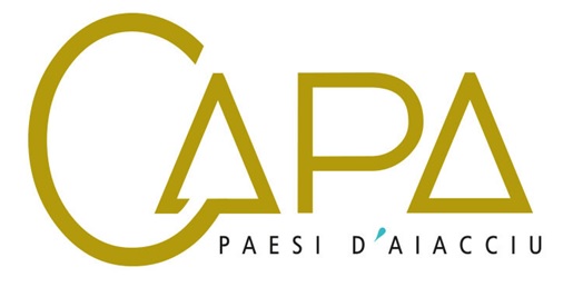 Appel à projets conseil intercommunal de sécurité et de prévention de la délinquance - CISPD 2023