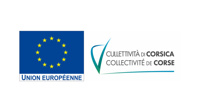 31 écoles de la Ville bientôt équipées en tableaux numériques 31 écoles de la Ville bientôt équipées en tableaux numériques