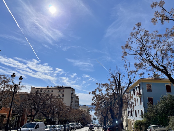 Végétalisation urbaine, une démarche écologique, économique et salutaire Végétalisation urbaine, une démarche écologique, économique et salutaire